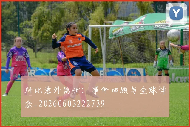科比意外离世：事件回顾与全球悼念_20260603222739